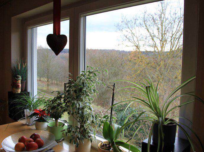 內開內倒鋁包木門窗 內開內倒鋁包木門窗